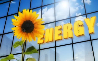 Fotovoltaika v kostce: co je net metering